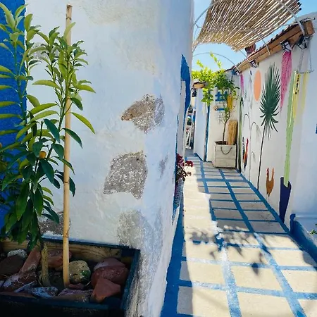 Homestay Badehan Ion
