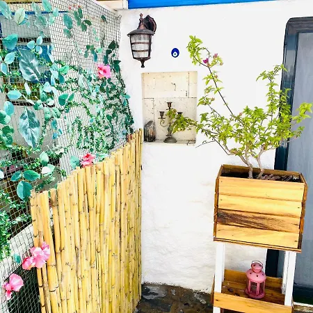 Séjour chez l'habitant Badehan Ion Çeşme